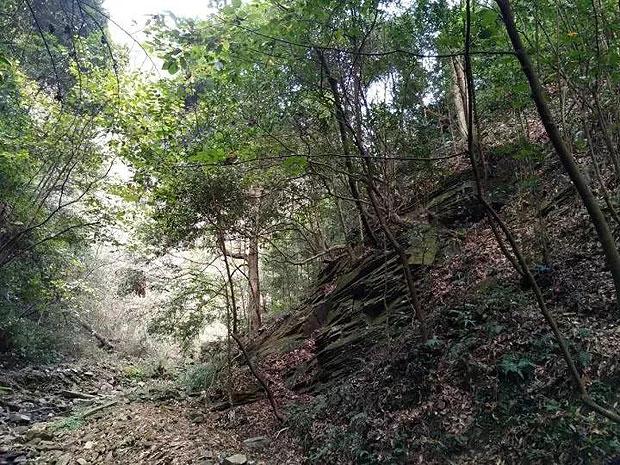 羽毛球教练如何获得证书?考试时间、报考条件和科目是怎样的?
